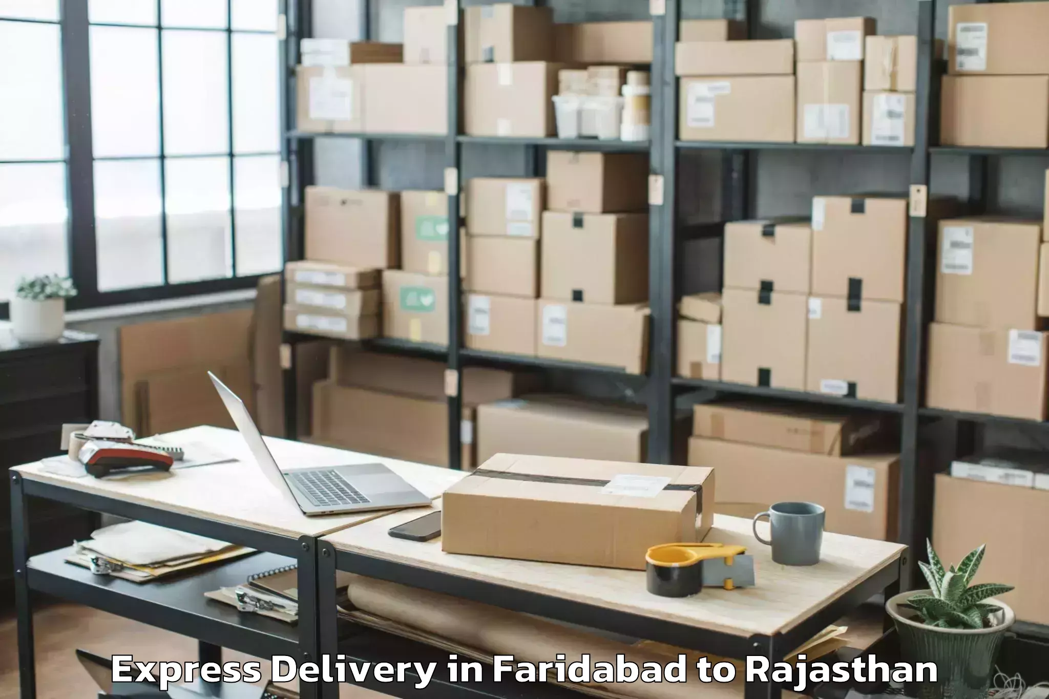 Expert Faridabad to Jalor Express Delivery